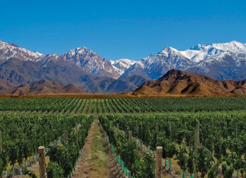 Valle de Uco, Rancagua - ARGENTINA 