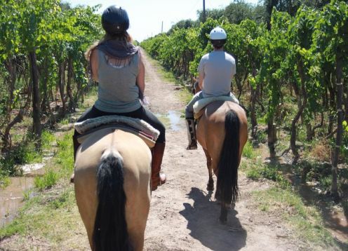 Paseo a caballo por viñedos con almuerzo de asado gourmet. Mendoza, ARGENTINA