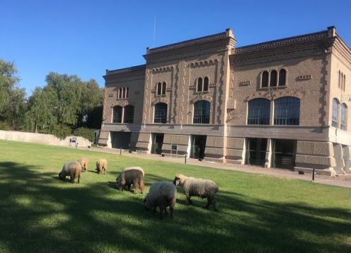 Tour de día completo de cata de vinos de Mendoza con almuerzo o cena. Mendoza, ARGENTINA