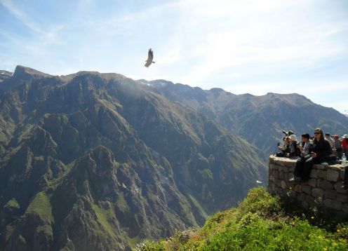 Tour de dia completo al Cañon del Colca. Arequipa, PERU